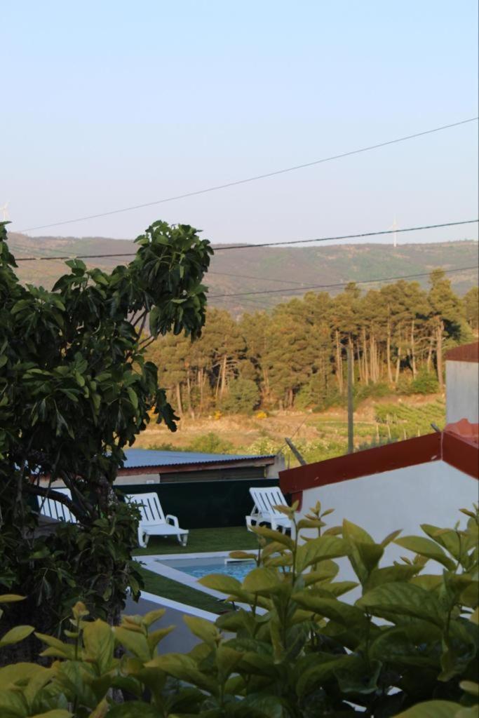 Casa Do Souto - Alojamento Local No Douro Aricera Экстерьер фото